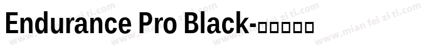 Endurance Pro Black字体转换